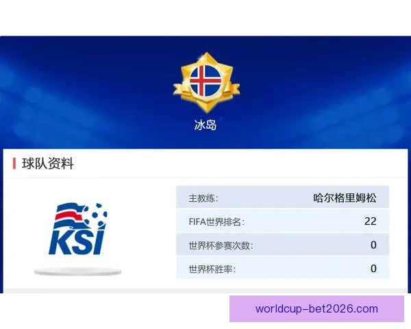 世界杯赛事全攻略详解：掌握投注技巧提高胜率秘籍